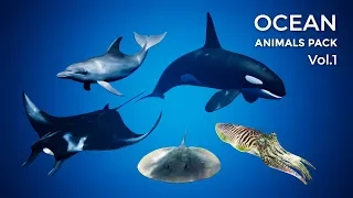 UE4 Ocean Animals Pack - Vol 1