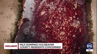 Smelly, potentially toxic milk dumping in Beaver County has neighbors concerned
