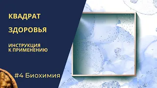 Квадрат здоровья. Биохимия. Кинезиологический взгляд на здоровье.