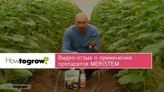 Видео-отзыв о применении препаратов MERISTEM