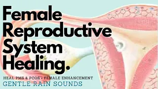 ❋ Female Reproductive System Healing! ~ Heal PMS + Polycystic Ovarian Syndrome ~ Gentle Rain Sounds