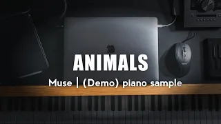 KAWAI PIANO sample KORG PA - Animals (muse)