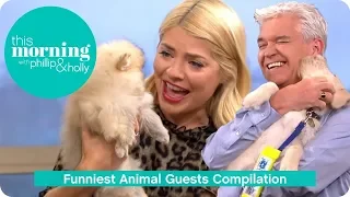 Funniest Animal Guests Compilation | This Morning