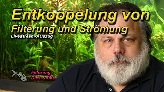 Entkoppelung von Filterung und Strömung im Aquarium