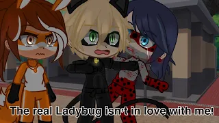 The Real Ladybug isn’t in love with Me 🐞❤️🙅 (MLB) || AU || ⚠️ Fake Everything ⚠️