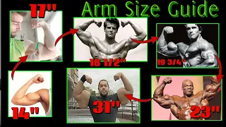 ULTIMATE GUIDE To ARM SIZE (How Big Can You Get Naturally? How Big are MY Arms? Biggest Arms Ever?)