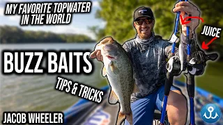 Exposing ALL of my Buzz Bait Secrets - Jacob Wheeler