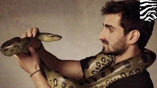 Anaconda eats man: Paul Rosolie ‘Eaten Alive’ by giant snake on Discovery’s new show