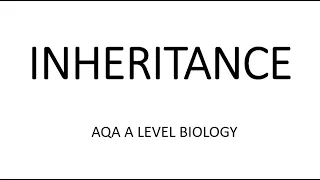 INHERITANCE - AQA A LEVEL BIOLOGY + EXAM QUESTIONS RUN THROUGH