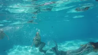 Sirenita Brasil- um mergulho nas férias, com música de Leandro Roverso
