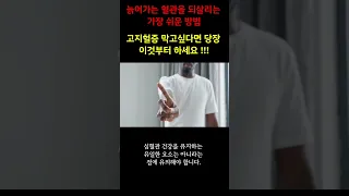 늙어가는 혈관을 되살리는 가장 쉬운 방법 고지혈증 막고싶다면 당장 이것부터 하세요