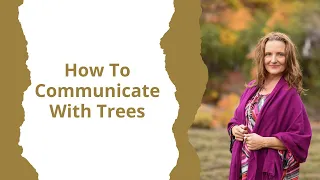 How To Connect With Nature And The Trees To Relieve Stress And Anxiety