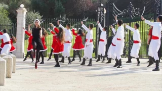 Haifa christmas flash mob  بالبلد حيفا . ميلاد مجيد للجميع