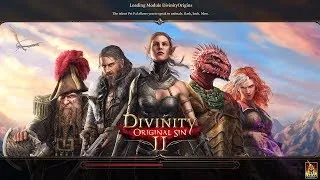 Divinity Original Sin 2 First Run Blind(ish) Tactician Part 1 Rogue Main