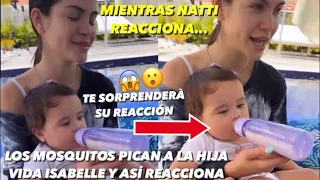 A La Hija de Natti Natasha y Raphy Pina Le Pican Los Mosquitos En Vivo Vida Isabelle Así Reacciona