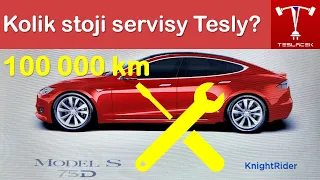 #137 🤷‍♂️Kolik 💰stojí 🚗Tesla 🛠Servis po 100 000 km? | BACINA.TV