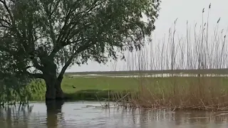 Пик половодья в дельте Волги. Прогулка по воде🌊