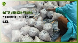 Oyster Mushroom Farming : Your Complete Step-by-Step Guide.