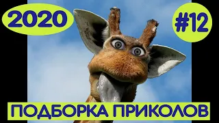 #подборкаприколов2020 #12 #лучшиеприколы2020 #смешноевидео2020 #coub