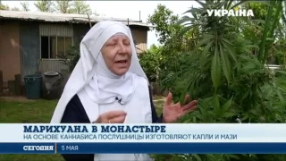 В Калифорнии монахини выращивают и продают марихуану