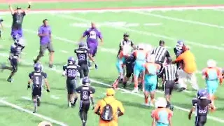 Fists fly at youth football game