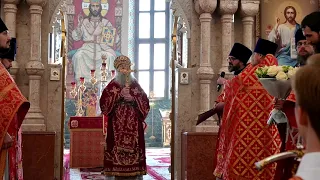 Поздравление митрополита Иоанна в день его тезоименитства в кафедральном Благовещенском соборе