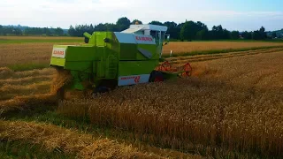 Żniwa 2017 |2 kombajny|Claas Dominator 48 & Volvo 1130|