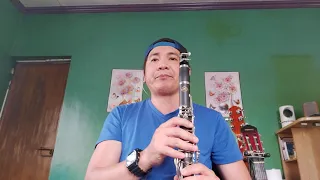 Perfect Ed Sheeran (Clarinet Cover) Aga Felizardo