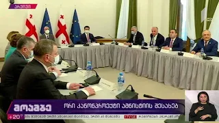 ორი კანონპროექტი ამნისტიის შესახებ