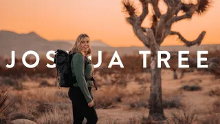 My Solo Trip to Joshua Tree