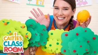 Caitie's Classroom Live  - Trees! | Preschool At Home