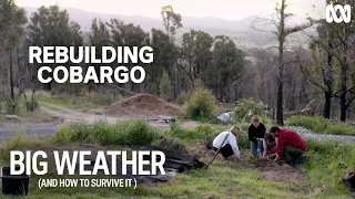 Cobargo Community Recovery | Big Weather