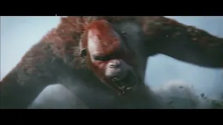 My Favorite Part! (Godzilla X Kong!)