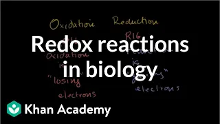 Oxidation and reduction review from biological point-of-view | Biomolecules | MCAT | Khan Academy