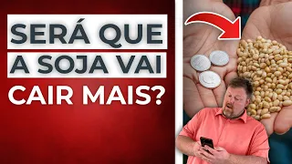 SOJA EM TENDÊNCIA DE ALTA OU EM TENDÊNCIA DE BAIXA?