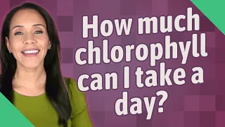 How much chlorophyll can I take a day?