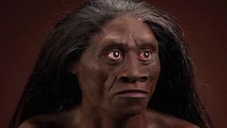 The Ballad of Homo floresiensis