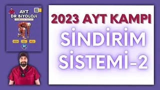 Sindirim Sistemi-2 AYT Biyoloji Kampı Konu Anlatımı/ 11.Sınıf 2024 Tayfa