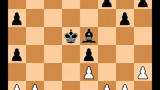 Magnus Carlsen(2801) vs Leinier Dominguez Perez(2719) | Event: Wch Blitz | 2009.11.16