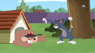 The Tom and Jerry Show S05E13 I Dream Of Jerry Full Episode in 720p HD From Boomerang Romania With C