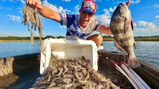 Shrimping, Fishing, Camping at the South Carolina Coast!