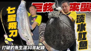 釣魚系列｜神秘超大巨物！七星飛刀、淡水魟魚雙雙上鉤，資深釣魚人淡定不了了