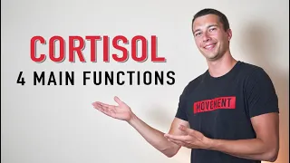 What does Cortisol Do? | 4 Functions of Cortisol Hormone