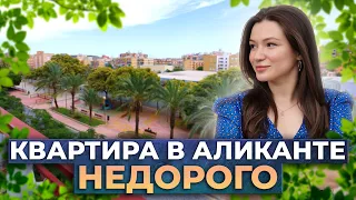 Квартира в Аликанте недорого. Недорогая недвижимость в Испании. Недвижимость в Испании. Аликанте