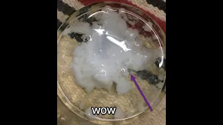 Magnesium sulphate  reaction with sodium aluminate (MgSO4 + NaAlO2)