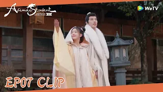 EP07 Clip | Yan Yunzhi remembered Sang Qi with a big smile on his face?!| 国子监来了个女弟子| ENG SUB