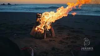 Feu de camp sur la plage | Sons de crépitements, de vagues et de la nuit pour s'endormir, se relaxer