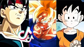 p199/ Dragon Ball Z/Super Edits Tiktok