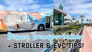 How To Get Around Disney World 2023 | Disney World Transportation Guide | Disney Tips