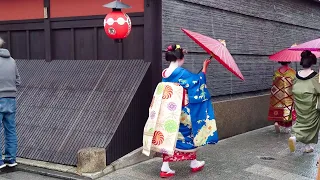 Geishas Walk in Hanamikoji and Yasaka Shrine, Gion Kyoto | 雨の日の京都祇園、花見小路と八坂神社を歩く外国人観光客と舞妓さん、海外の反応